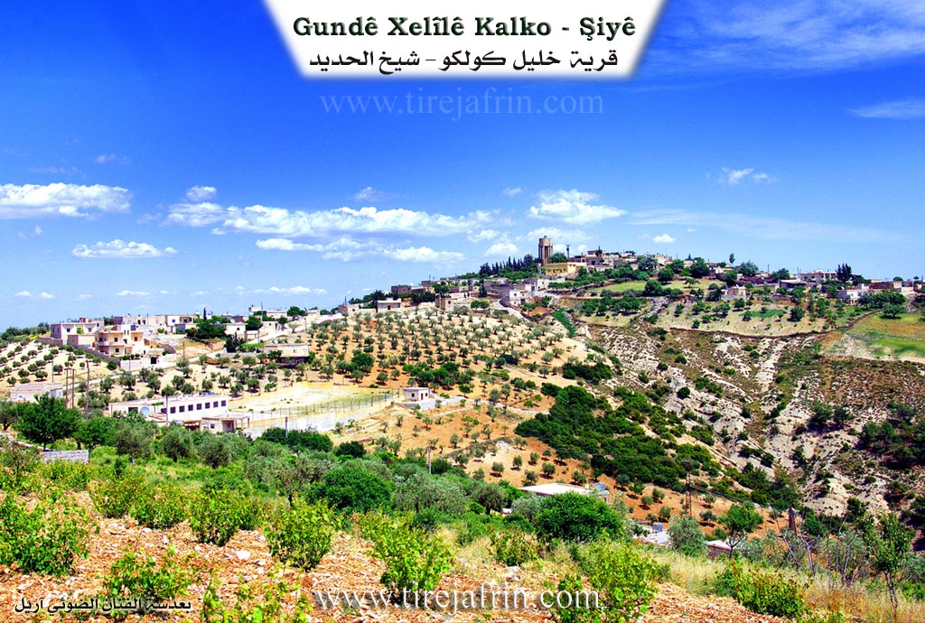 Photo of Xelîl